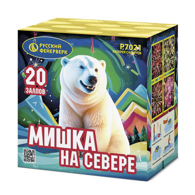 Мишка на севере